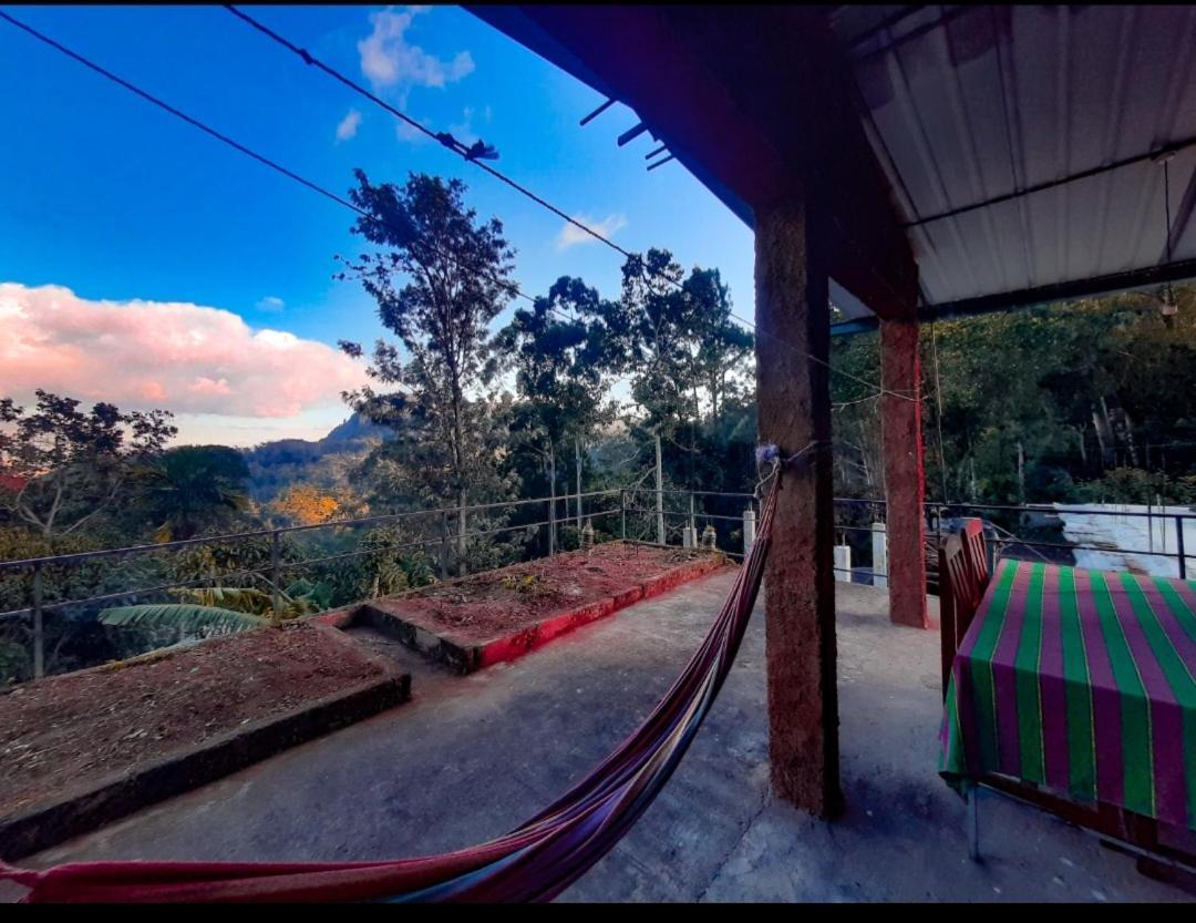 Ella New Green View 外观 照片