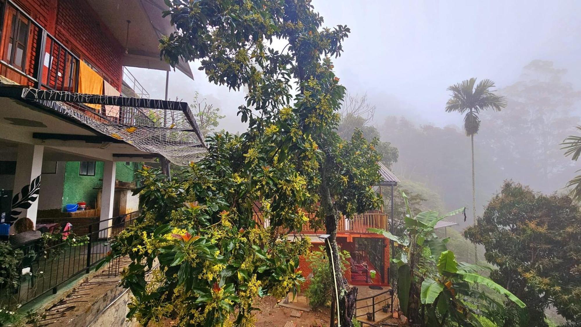 Ella New Green View 外观 照片